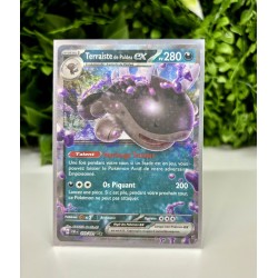 Pokémon - Carte Unité - Terraiste de Paldéa Ex