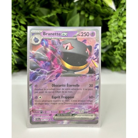 Pokémon - Carte Unité - Branette Ex
