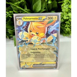 Pokémon - Carte Unité - Pohmarmotte Ex