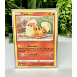 Pokémon - Carte Unité - Caninos