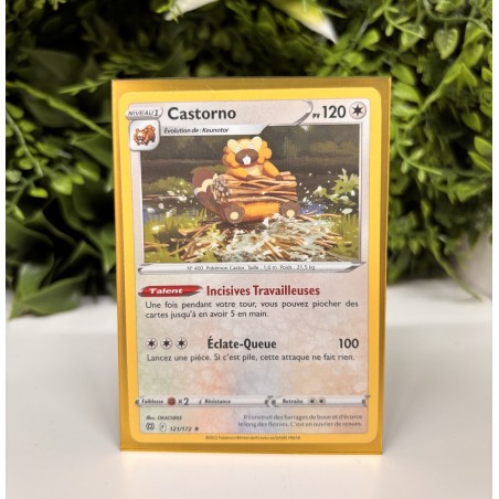 Pokémon - Carte Unité - Castorno