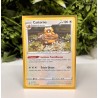 Pokémon - Carte Unité - Castorno